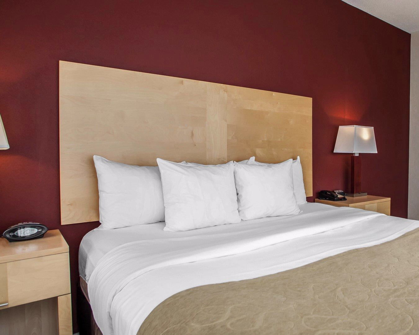 Comfort Suites Michigan Avenue Chicago Ngoại thất bức ảnh