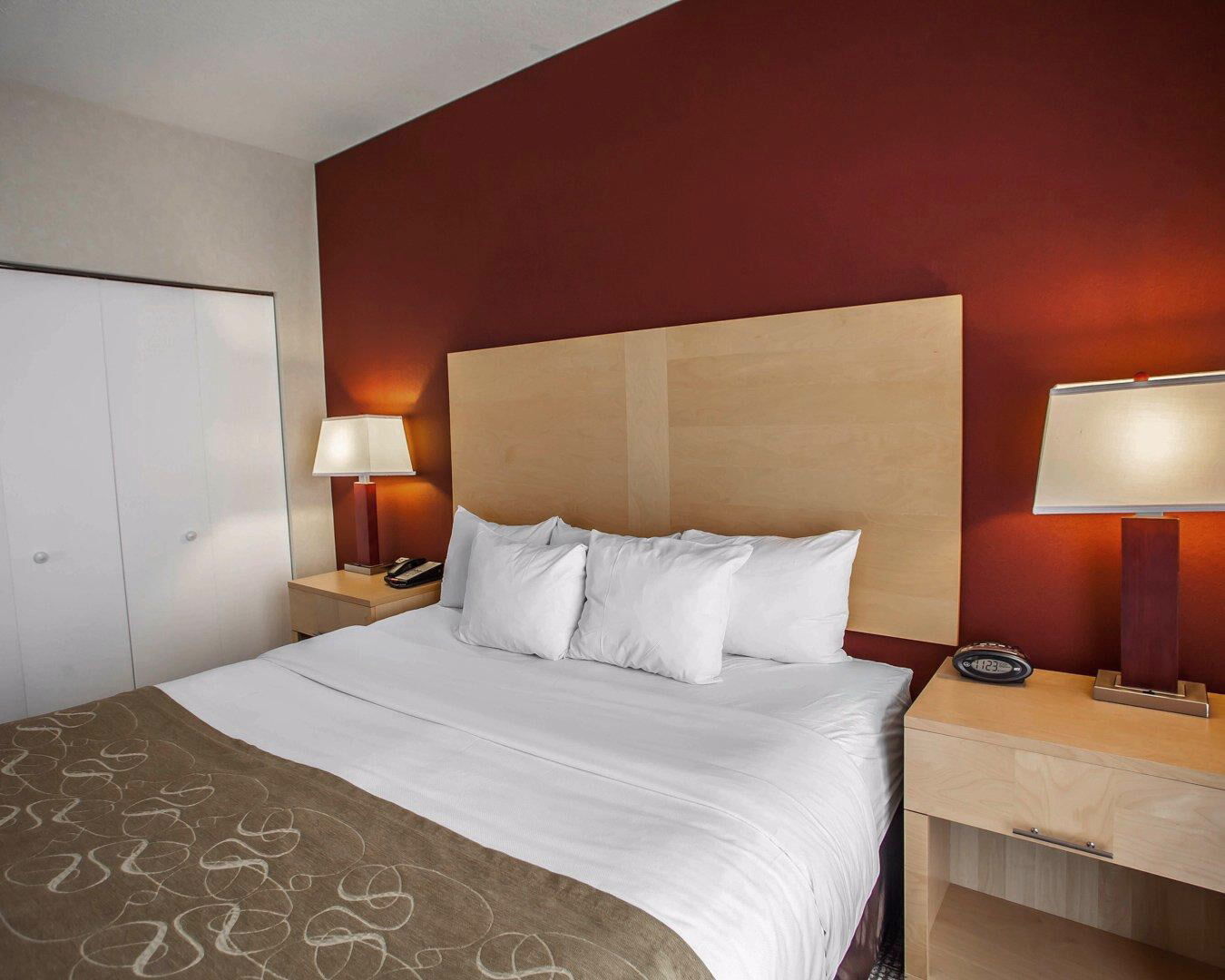 Comfort Suites Michigan Avenue Chicago Ngoại thất bức ảnh